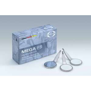 MEGA FS